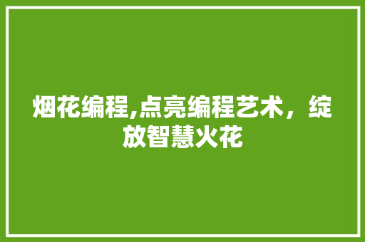烟花编程,点亮编程艺术，绽放智慧火花