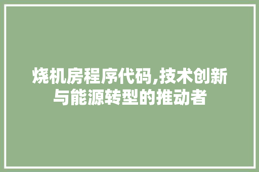 烧机房程序代码,技术创新与能源转型的推动者