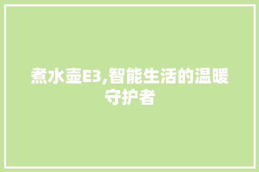 煮水壶E3,智能生活的温暖守护者