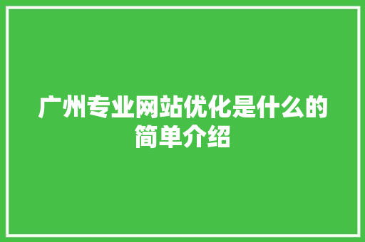 广州专业网站优化是什么的简单介绍 广州专业网站优化是什么的简单介绍 SEO关键词