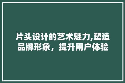 片头设计的艺术魅力,塑造品牌形象，提升用户体验 片头设计的艺术魅力,塑造品牌形象，提升用户体验 神马SEO
