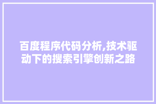 百度程序代码分析,技术驱动下的搜索引擎创新之路