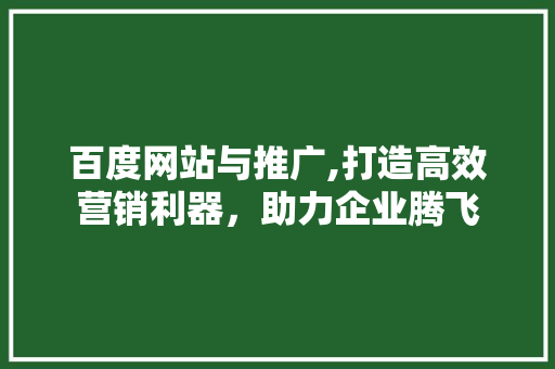 百度网站与推广,打造高效营销利器，助力企业腾飞