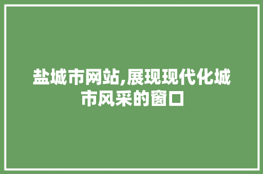 盐城市网站,展现现代化城市风采的窗口