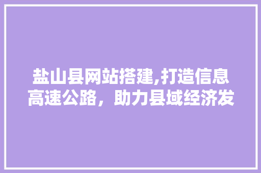 盐山县网站搭建,打造信息高速公路，助力县域经济发展