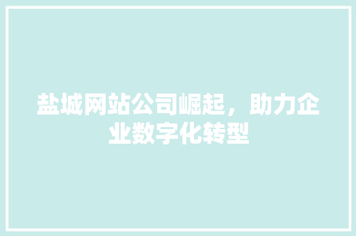 盐城网站公司崛起，助力企业数字化转型