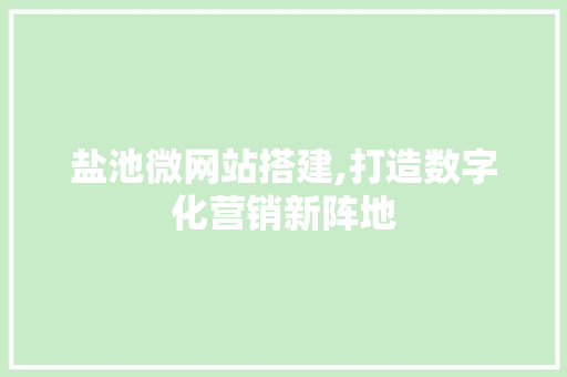 盐池微网站搭建,打造数字化营销新阵地