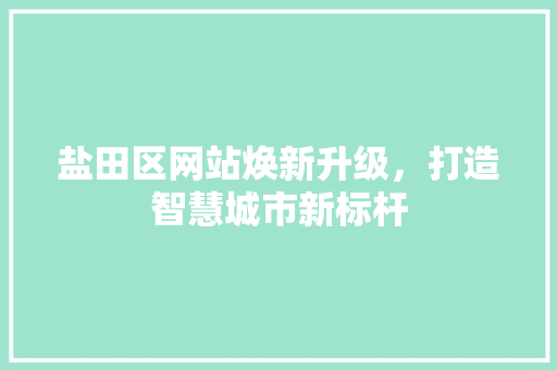 盐田区网站焕新升级，打造智慧城市新标杆