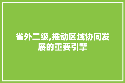 省外二级,推动区域协同发展的重要引擎 省外二级,推动区域协同发展的重要引擎 网站建设公司