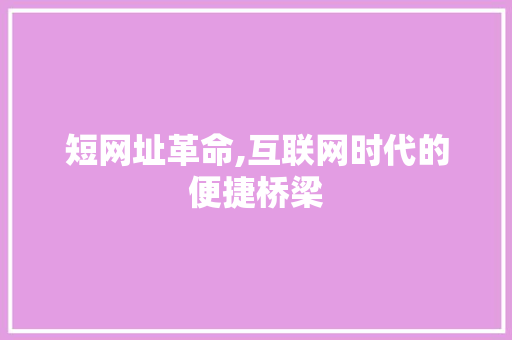 短网址革命,互联网时代的便捷桥梁