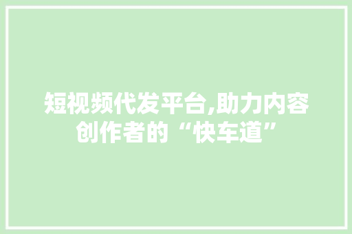 短视频代发平台,助力内容创作者的“快车道”