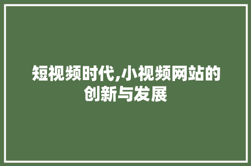 短视频时代,小视频网站的创新与发展
