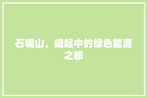 石嘴山，崛起中的绿色能源之都