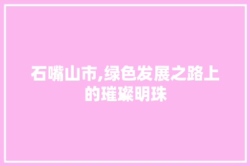 石嘴山市,绿色发展之路上的璀璨明珠