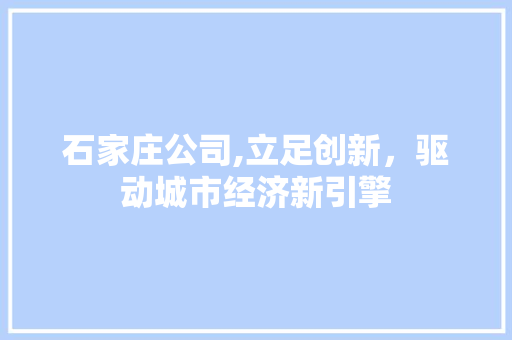 石家庄公司,立足创新，驱动城市经济新引擎