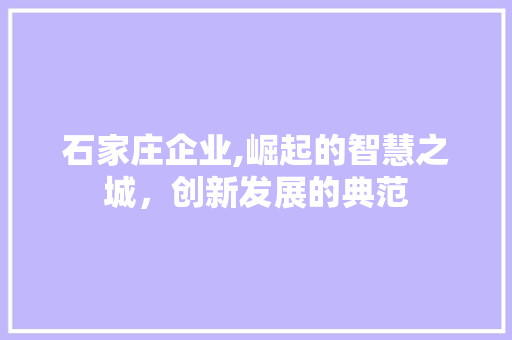 石家庄企业,崛起的智慧之城，创新发展的典范