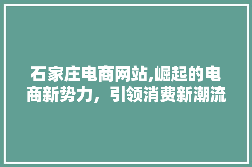 石家庄电商网站,崛起的电商新势力，引领消费新潮流