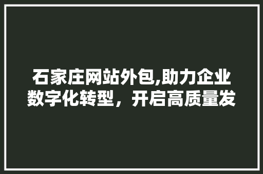 石家庄网站外包,助力企业数字化转型，开启高质量发展新篇章
