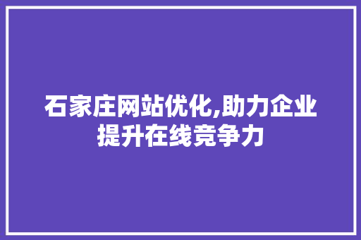 石家庄网站优化,助力企业提升在线竞争力