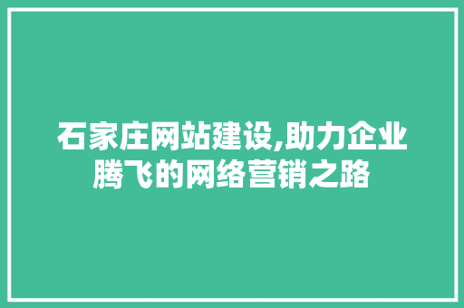 石家庄网站建设,助力企业腾飞的网络营销之路