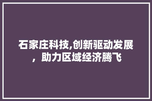 石家庄科技,创新驱动发展，助力区域经济腾飞