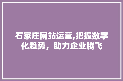 石家庄网站运营,把握数字化趋势，助力企业腾飞