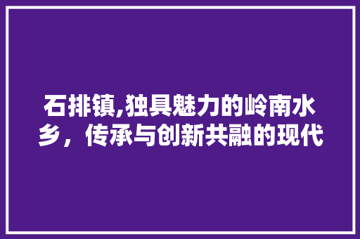 石排镇,独具魅力的岭南水乡，传承与创新共融的现代化新城