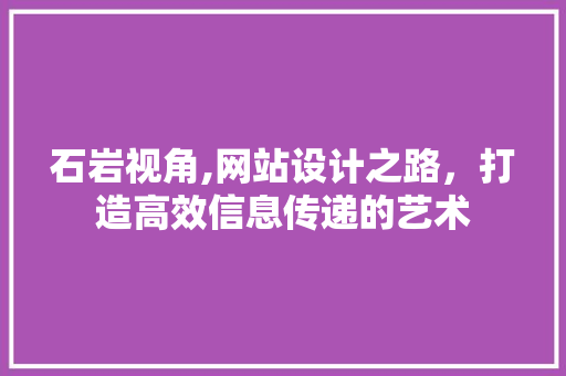 石岩视角,网站设计之路，打造高效信息传递的艺术