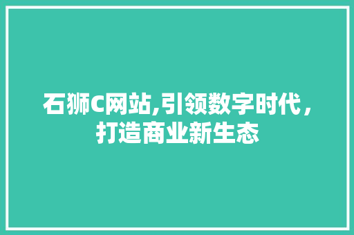 石狮C网站,引领数字时代，打造商业新生态