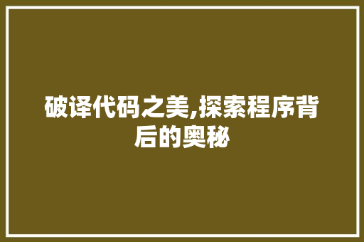 破译代码之美,探索程序背后的奥秘 破译代码之美,探索程序背后的奥秘 网站建设公司