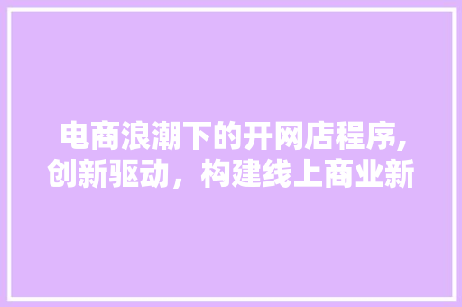 电商浪潮下的开网店程序,创新驱动，构建线上商业新生态