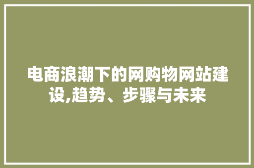 电商浪潮下的网购物网站建设,趋势、步骤与未来