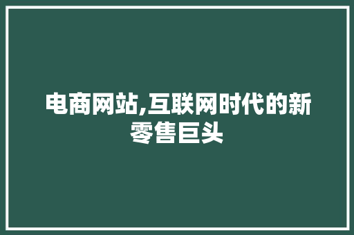 电商网站,互联网时代的新零售巨头