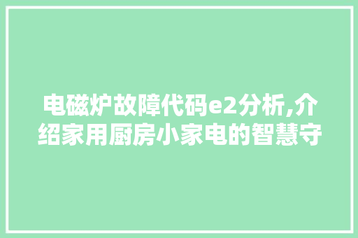 电磁炉故障代码e2分析,介绍家用厨房小家电的智慧守护