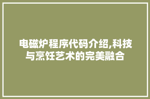 电磁炉程序代码介绍,科技与烹饪艺术的完美融合