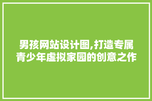 男孩网站设计图,打造专属青少年虚拟家园的创意之作