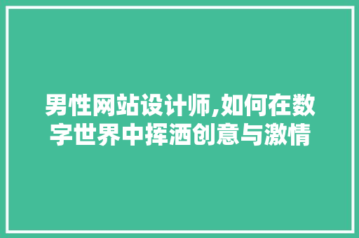 男性网站设计师,如何在数字世界中挥洒创意与激情