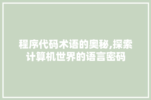 程序代码术语的奥秘,探索计算机世界的语言密码
