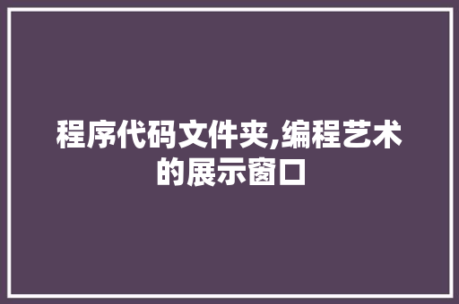 程序代码文件夹,编程艺术的展示窗口