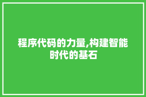 程序代码的力量,构建智能时代的基石 程序代码的力量,构建智能时代的基石 必应SEO