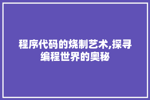 程序代码的烧制艺术,探寻编程世界的奥秘