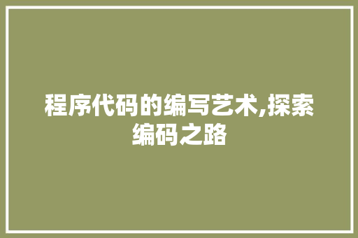 程序代码的编写艺术,探索编码之路