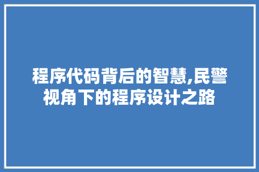 程序代码背后的智慧,民警视角下的程序设计之路