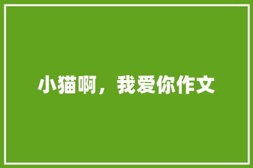 网站需要什么优化_网站优化几乎不需要费用。 网站需要什么优化_网站优化几乎不需要费用。 SEO关键词