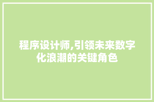 程序设计师,引领未来数字化浪潮的关键角色