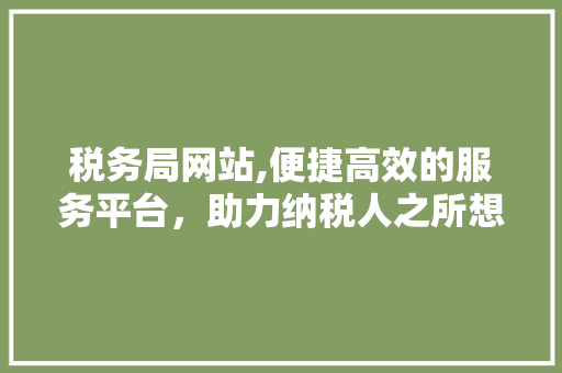 税务局网站,便捷高效的服务平台，助力纳税人之所想