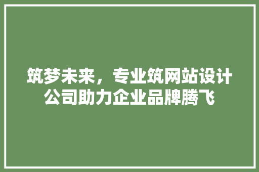 筑梦未来，专业筑网站设计公司助力企业品牌腾飞