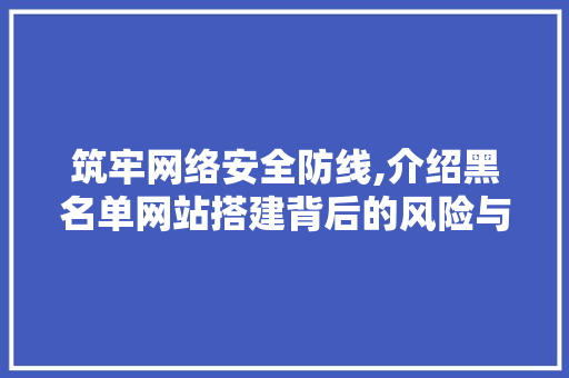 筑牢网络安全防线,介绍黑名单网站搭建背后的风险与应对步骤