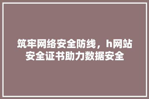 筑牢网络安全防线，h网站安全证书助力数据安全