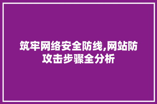筑牢网络安全防线,网站防攻击步骤全分析